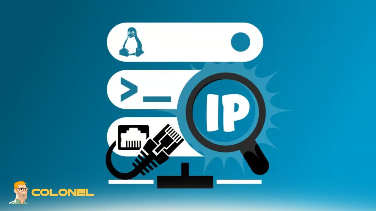 Checking Server IP Address Using the ip addr Command