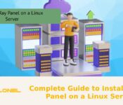 Complete Guide to Install X-Ray Panel on a Linux Server