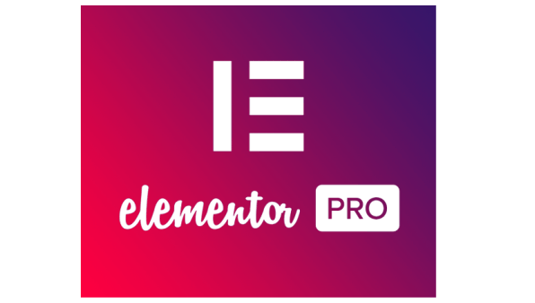 Elementor hosting Pro