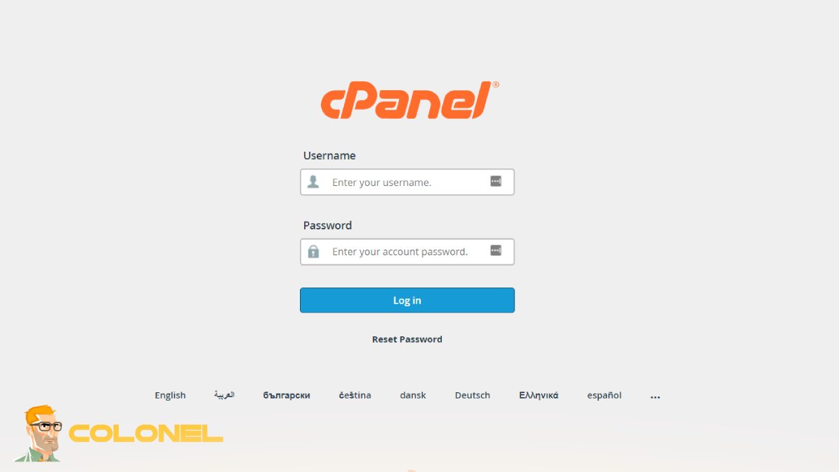 Files and Domain Management through cPanel