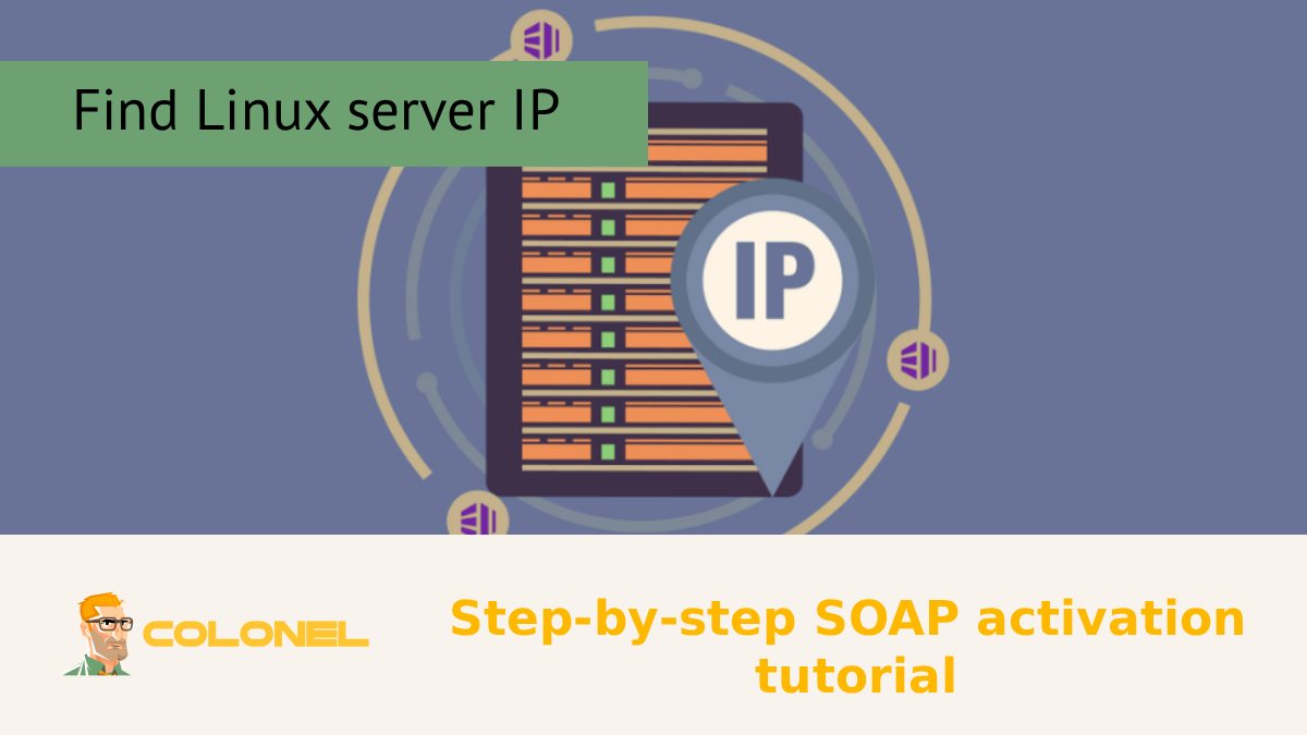 Find Linux server IP; View list of server IPs via ssh