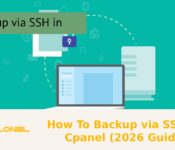 How To Backup via SSH in Cpanel (2026 Guide)