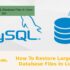 How To Restore Large MySQL Database Files In Linux Ssh