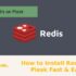 How to Install Redis on Plesk Fast & Easy