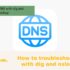 How to troubleshoot DNS with dig and nslookup?