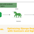 Optimizing Django Deployment with Gunicorn and Nginx Setup