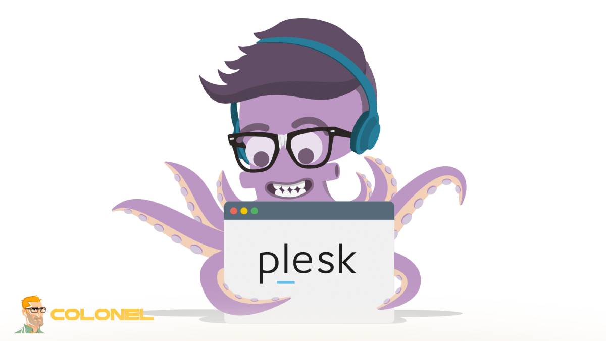 Types of Plesk Licenses Explained