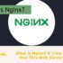 What Is Nginx? A Clear Look at How This Web Server Works