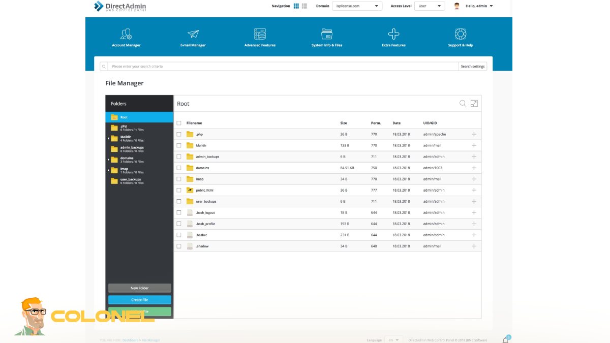 Who Should Use DirectAdmin Control Panel?