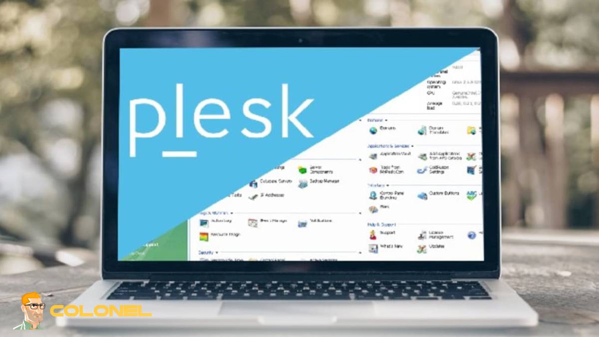 Why am i need Plesk License?