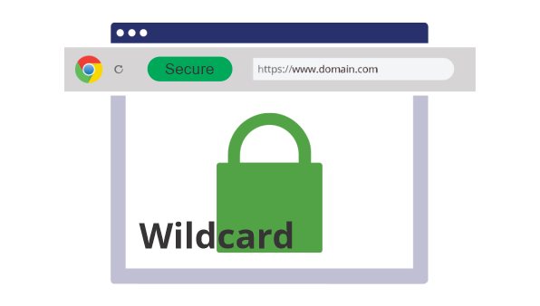 what is wildcard ssl and pricing