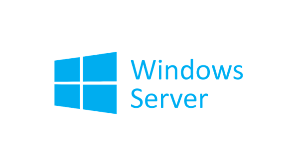 Windows shared hosting service