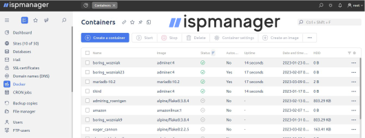ispmanager host panel