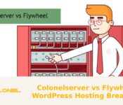 Colonelserver vs Flywheel – WordPress Hosting Breakdown