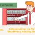 Colonelserver vs Flywheel – WordPress Hosting Breakdown