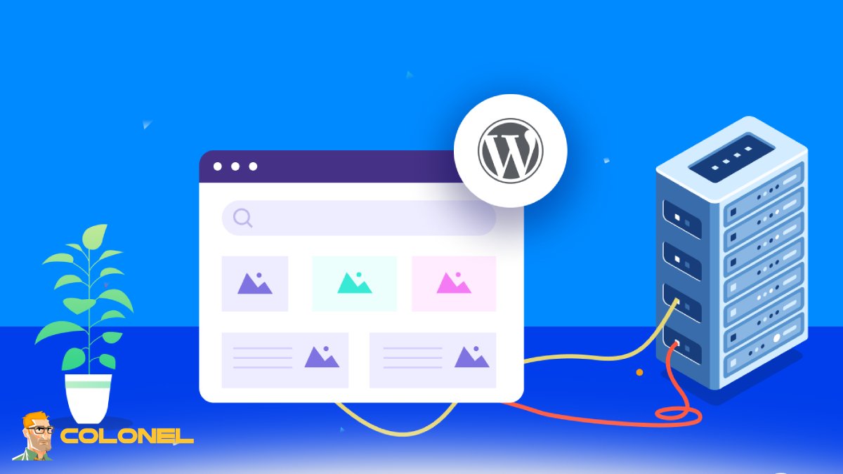 Ease of Use Comparison: Dashboard, Setup, and Website Management