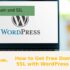 How to Get Free Domain and SSL with WordPress Hosting