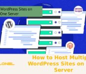 How to Host Multiple WordPress Sites on One Server