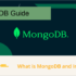 MongoDB installation and guide