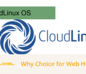 CloudLinux OS enhances server stability, security, and resource isolation in shared hosting environments. See why hosting providers rely on CloudLinux to improve performance, account protection, and uptime.