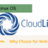 CloudLinux OS enhances server stability, security, and resource isolation in shared hosting environments. See why hosting providers rely on CloudLinux to improve performance, account protection, and uptime.