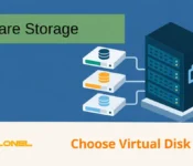 VMware Storage - Choose Virtual Disk Types