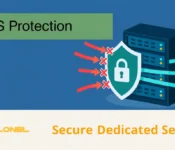 DDoS Protection — Secure Dedicated Servers