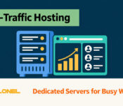 Dedicated server and website traffic dashboard
