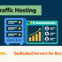 Dedicated server and website traffic dashboard