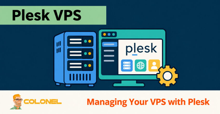 Plesk control panel and virtual server